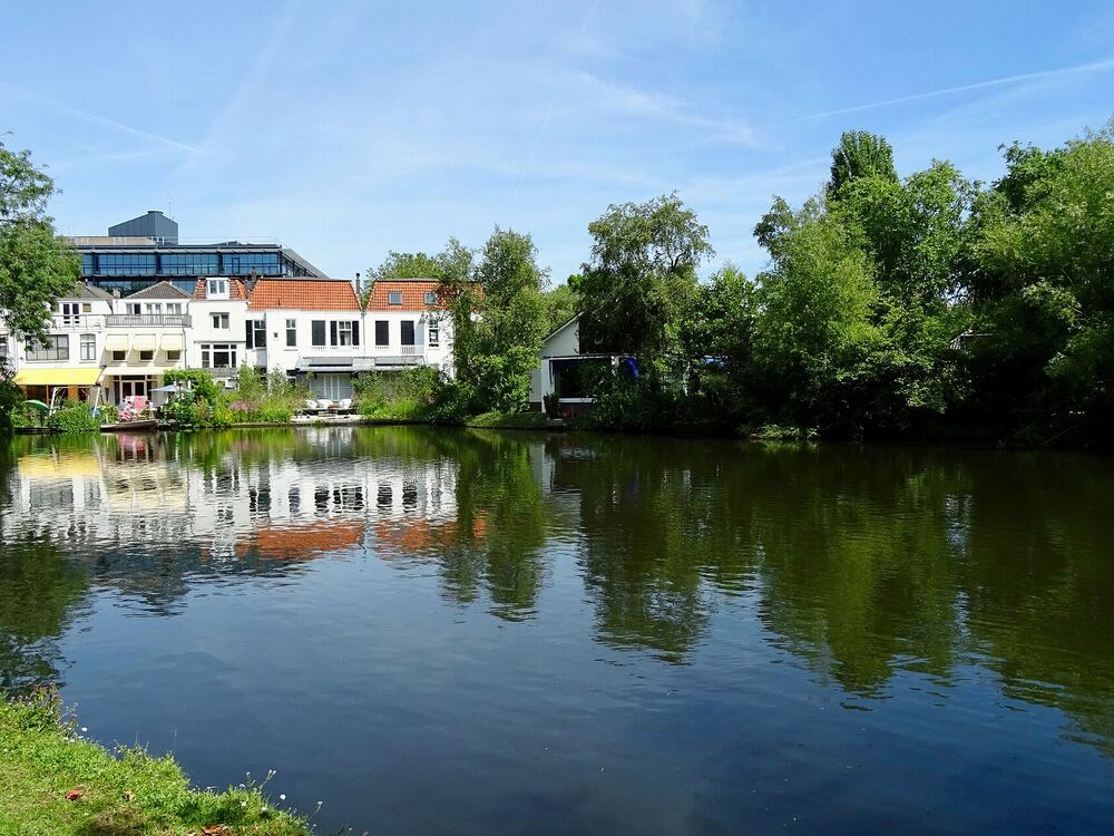 De vijver in het Van Bergen IJzendoornpark in Gouda, met bomen weerspiegeld in het water