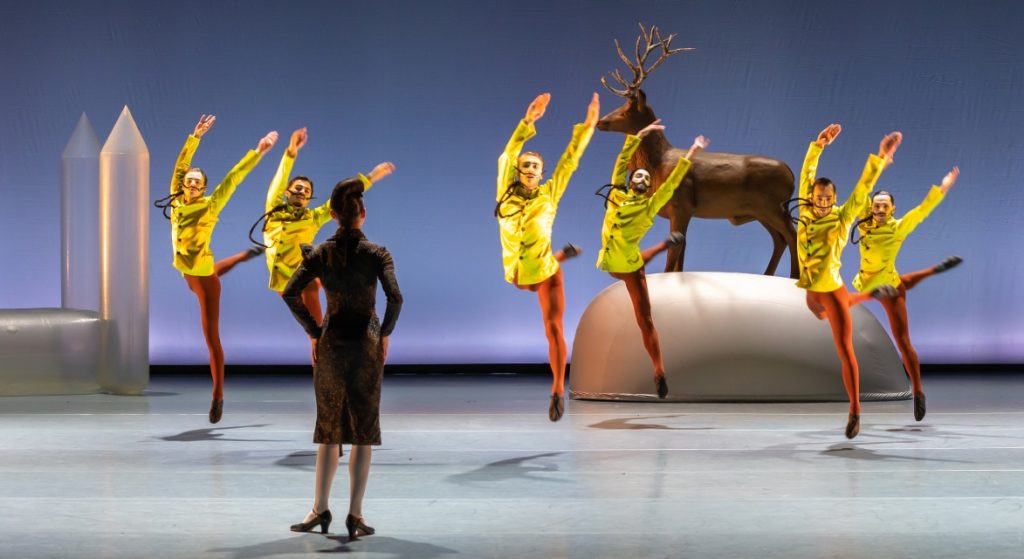 Swan Lake – Introdans in Gouda