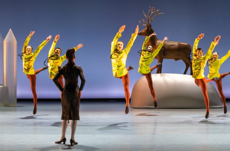 Dansers in white tutus performing Swan Lake by Introdans at De Goudse Schouwburg